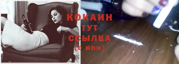 ECSTASY Абаза
