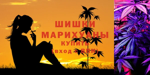 ECSTASY Абаза