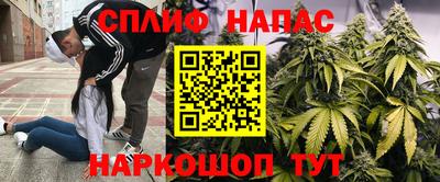 мяу мяу мука Троицк