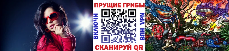 Псилоцибиновые грибы мицелий  omg как войти  Альметьевск  купить наркоту 
