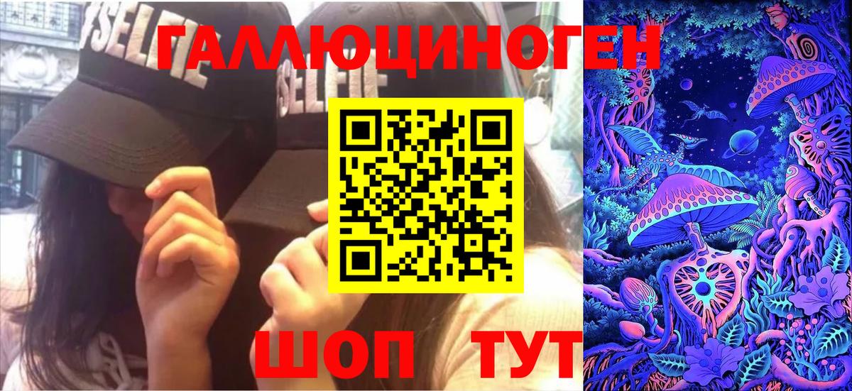 Галлюциногенные грибы Psilocybe Альметьевск
